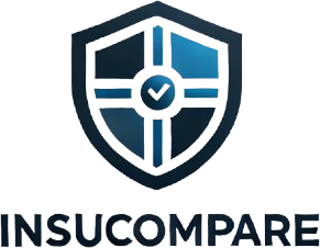 경증치매보험 비다네일